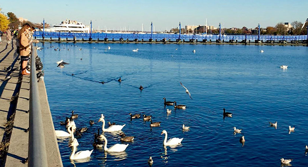 Sheepshead Bay - Tina Epstein | Realtor