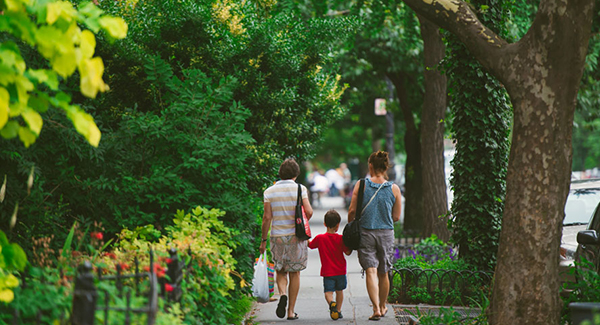 Windsor Terrace